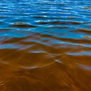 Meet your Posher, Jessie